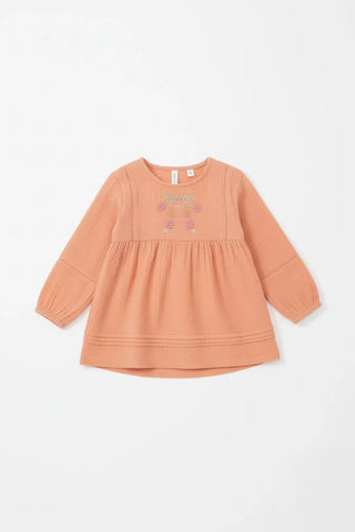Embroidered Long Sleeve Dress For Baby Girl