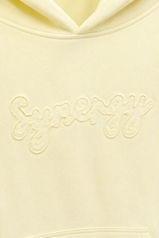 EMBROIDERED SLOGAN PULLOVER HOODIE FOR MEN