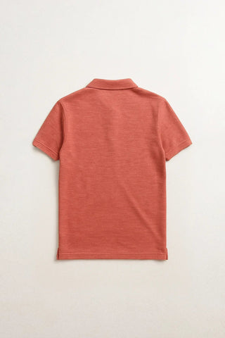 Polo Shirt For Men