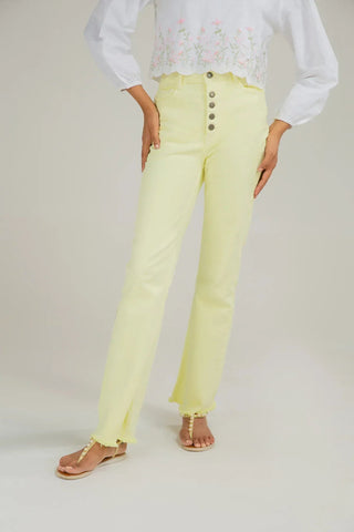 Julisse Boot Cut Pant For Women