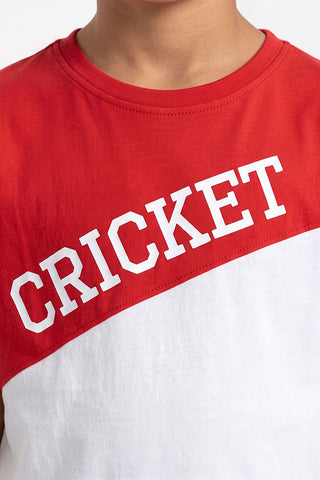 Anton Cricket T-Shirt For Boy