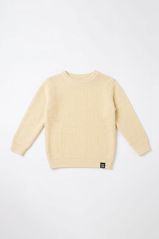 basic Knit Sweater for Baby Boys