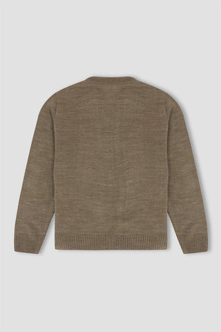 Solid Sweater For Boy