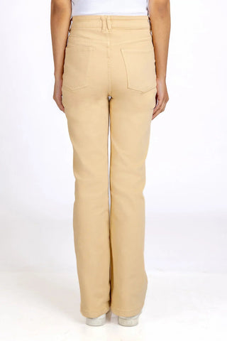 Regular Pant For Women