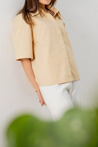 Solid Shirt For Women