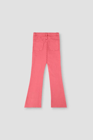 Regular Trouser For Women