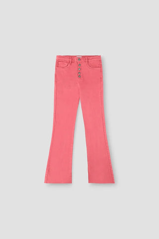 Regular Trouser For Women