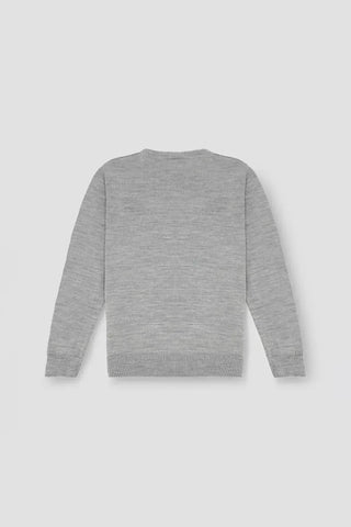 Solid Crew Neck Sweater For Men