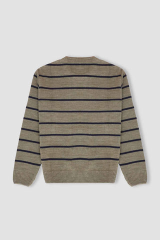 Striped Pullover Sweater For Boy