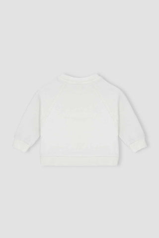 Bear Sweater