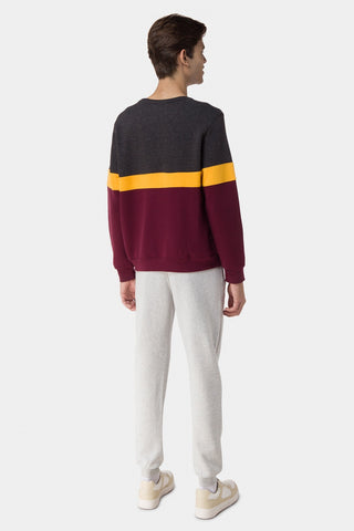 Colorblocked Sweatshirt